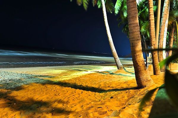 ФОТО №1 фото природа Тайланда, курорт Самуи - остров кокосовых пальм