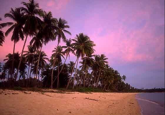 ФОТО №1 фото природа Тайланда, пляжи с пальмами